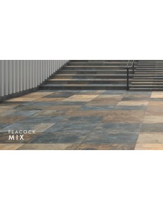 Zoya 2.0 Peacock Rusty... 2