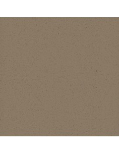 PARADYŻ U102 GRYS 60,3x60,3...